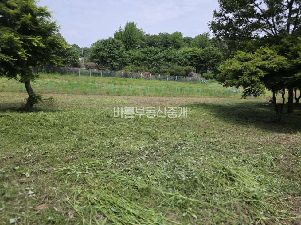 경기 평택시 안중읍 덕우리 포승국가산업단지 인접 & 도로 접합! 평택 안중읍 토지 매매 매매 매물번호 10772 사진 1