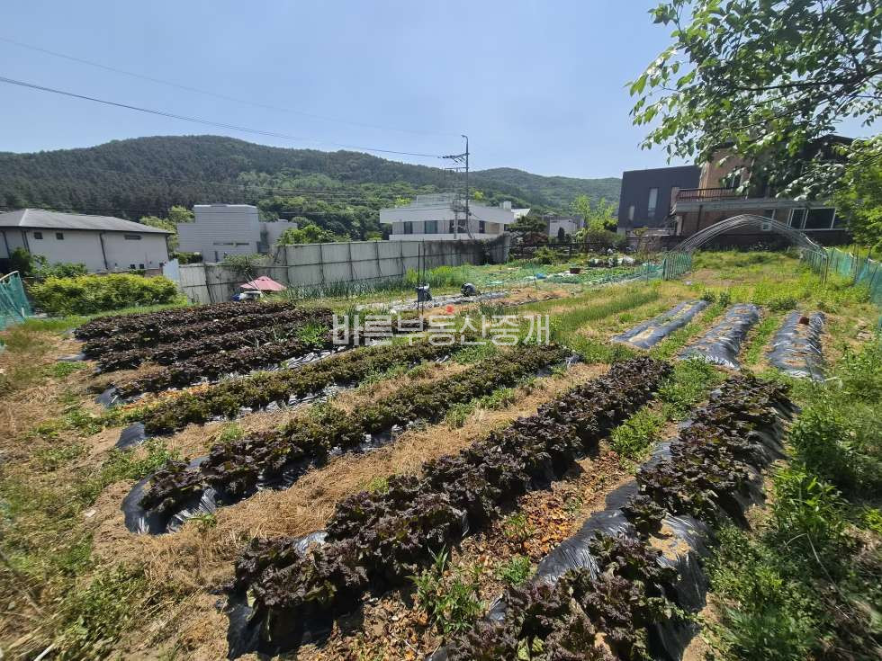 경기 성남분당구 금곡동 대왕판교로인근 단독주택, 사옥, 연구소, 근생부지 추천 매매 매물번호 10773 사진 2