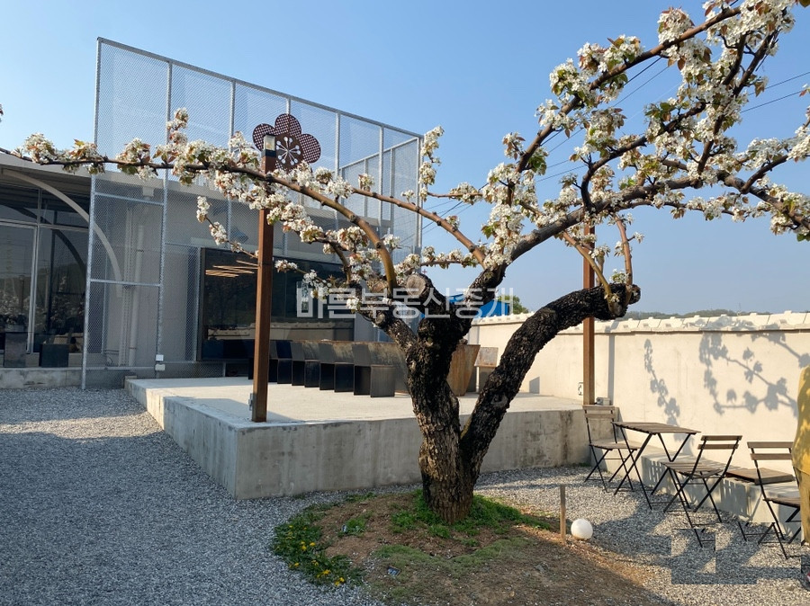 경기 안성시 대덕면 모산리 가동 안성시 배밭 및 카페매도 매매 매물번호 10796 사진 1