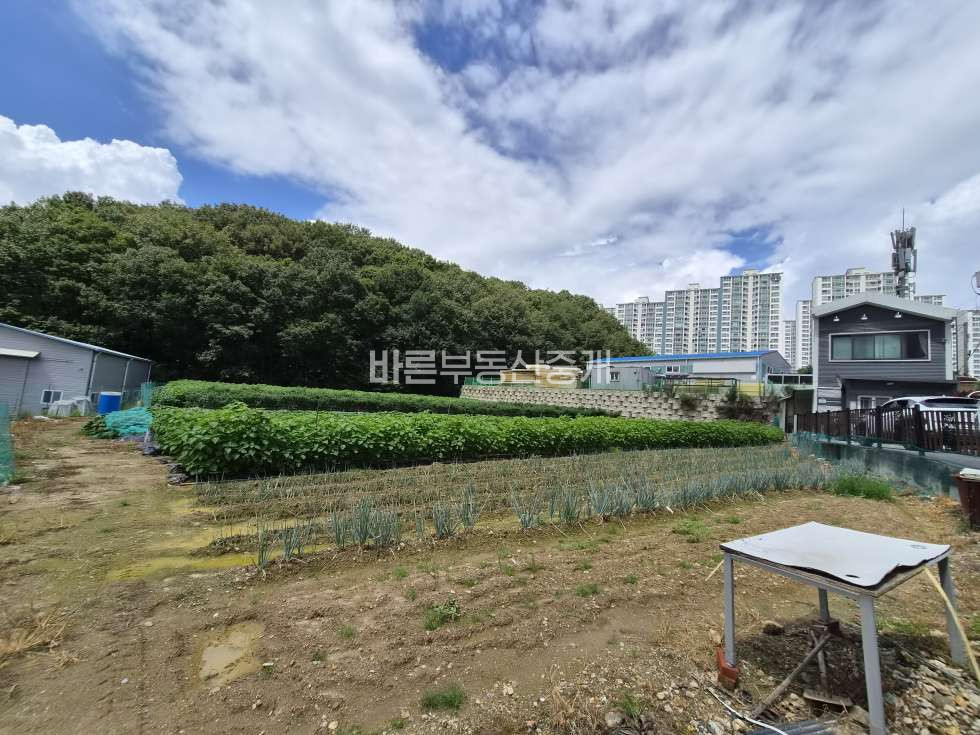 경기 용인기흥구 지곡동 지곡산단 인근 사옥 및 근생부지 매매 매물번호 10785 사진 1