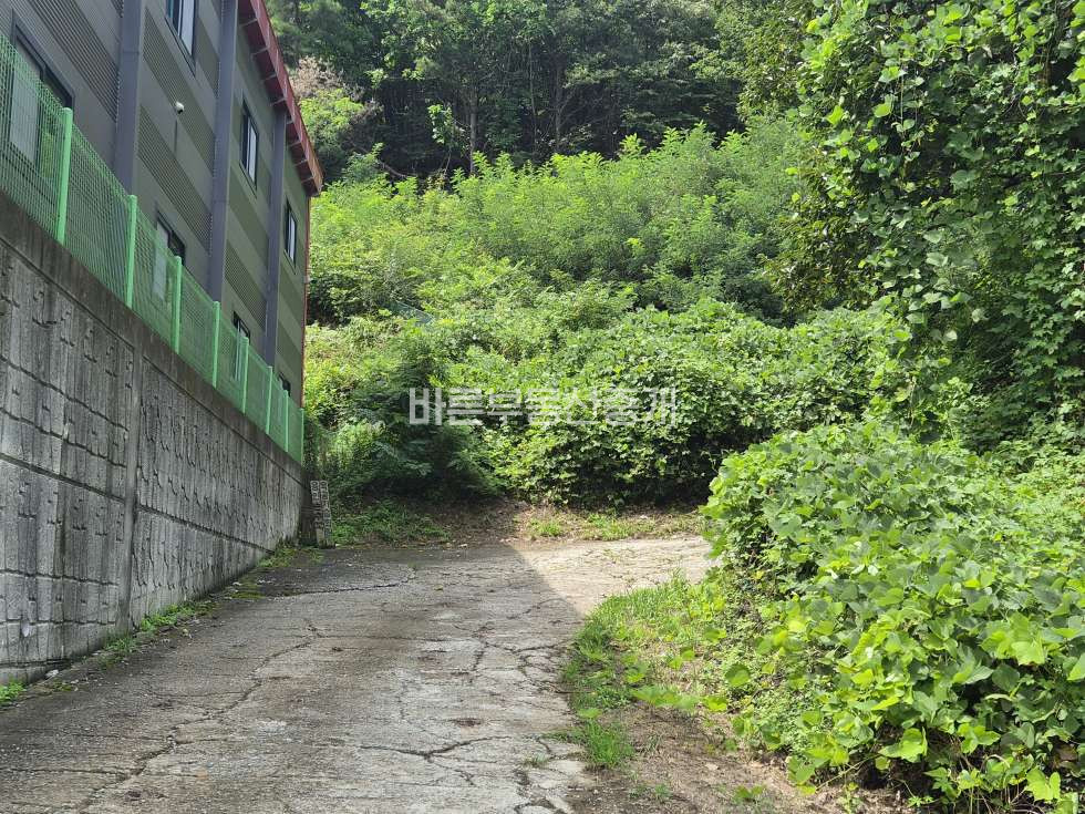 경기 용인기흥구 지곡동 지곡산단 인근 조망좋은 사옥, 근생 부지 매매 매물번호 10783 사진 5