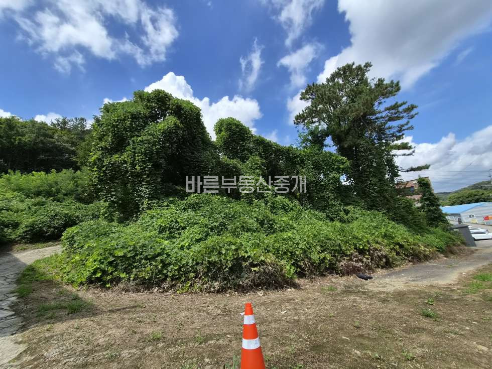 경기 용인기흥구 지곡동 지곡산단 인근 조망좋은 사옥, 근생 부지 매매 매물번호 10783 사진 6