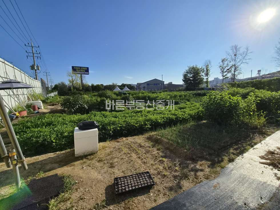 경기 용인기흥구 보라동 신갈IC 인근 경부고속도로 옆 노출 좋은 사옥 부지 추천 매매 매물번호 10804 사진 3