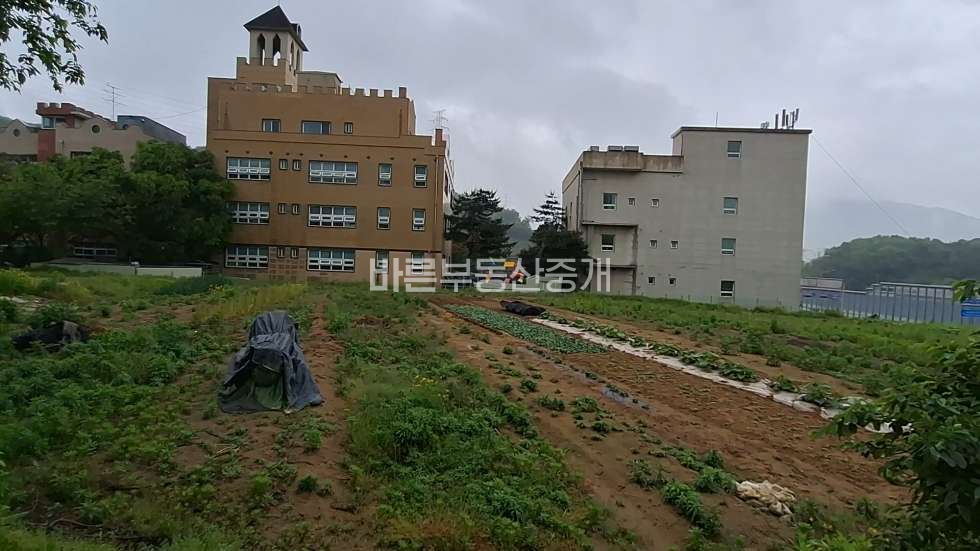 경기 용인기흥구 동백동 고속도로 광교효과 좋은 사옥 및 실버타운 부지 매매 매물번호 10813 사진 1
