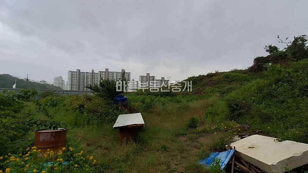 경기 용인기흥구 동백동 고속도로 광교효과 좋은 사옥 및 실버타운 부지 매매 매물번호 10813 사진 2