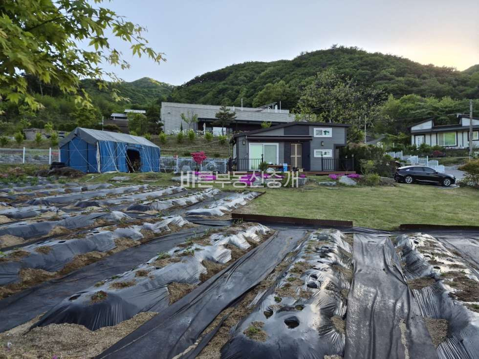경기 안성시 죽산면 칠장리 안성시 칠장사 인근 농막이 설치된 토지 매도 매매 매물번호 10816 사진 1