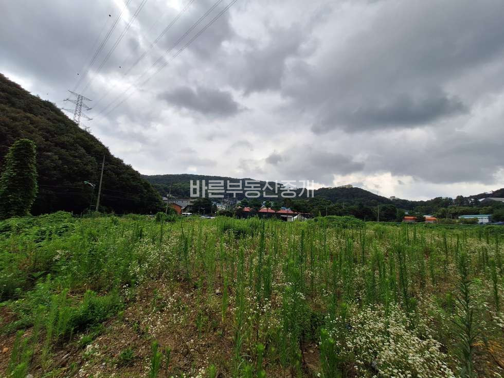 경기 용인기흥구 고매동 롯데프리미엄 아울렛 인근 대형카페, 공장, 사옥 추천 매매 매물번호 10307 사진 2