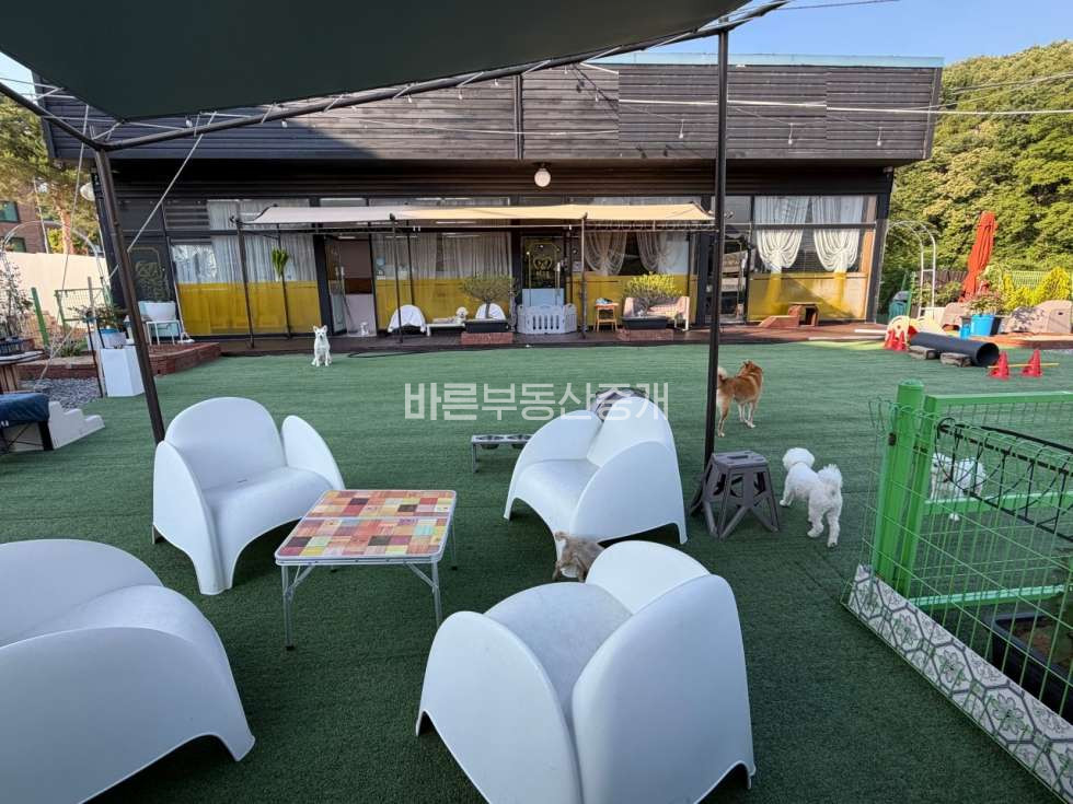 경기 용인기흥구 마북동 기흥구 시설좋고 매출좋은 강아지 유치원. 호텔 양도양수 월세 매물번호 10856 사진 2