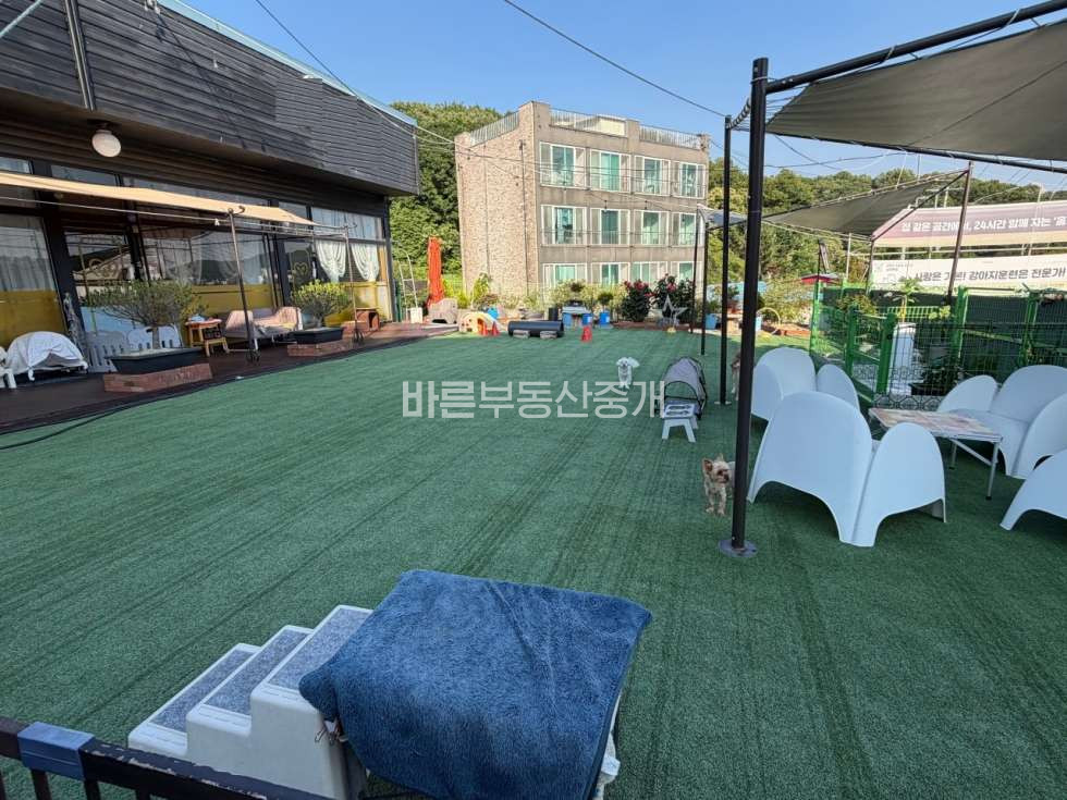 경기 용인기흥구 마북동 기흥구 시설좋고 매출좋은 강아지 유치원. 호텔 양도양수 월세 매물번호 10856 사진 3